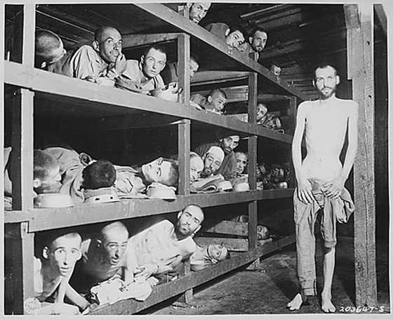Auschwitz6