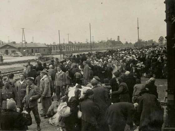 2014-07-25 04 AuschwitzKremaII