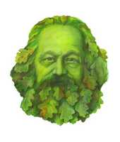 2014-08-13 02 GreenKarl
