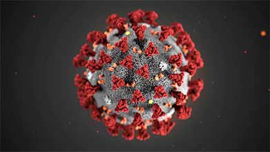 2020 03 18 01 corona virus
