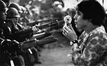 Flower vs Weapons