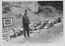 Hürtgenwald after the fighting